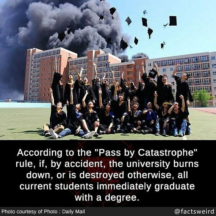 Students in graduation gowns throwing caps with black smoke from a burning university, illustrating weird facts about the world perspective.