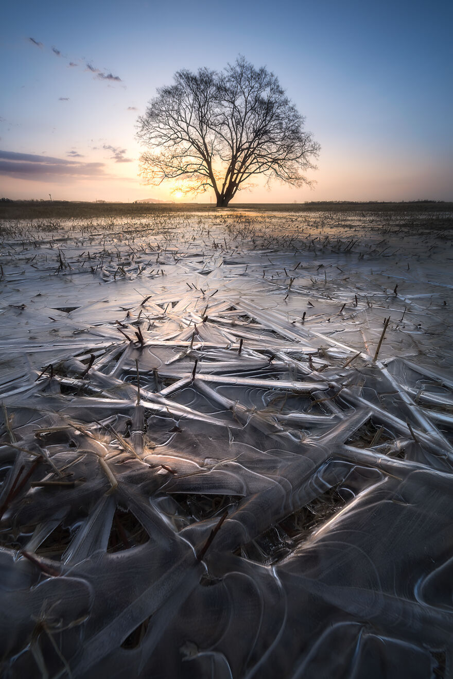 "Frozen Puddle"