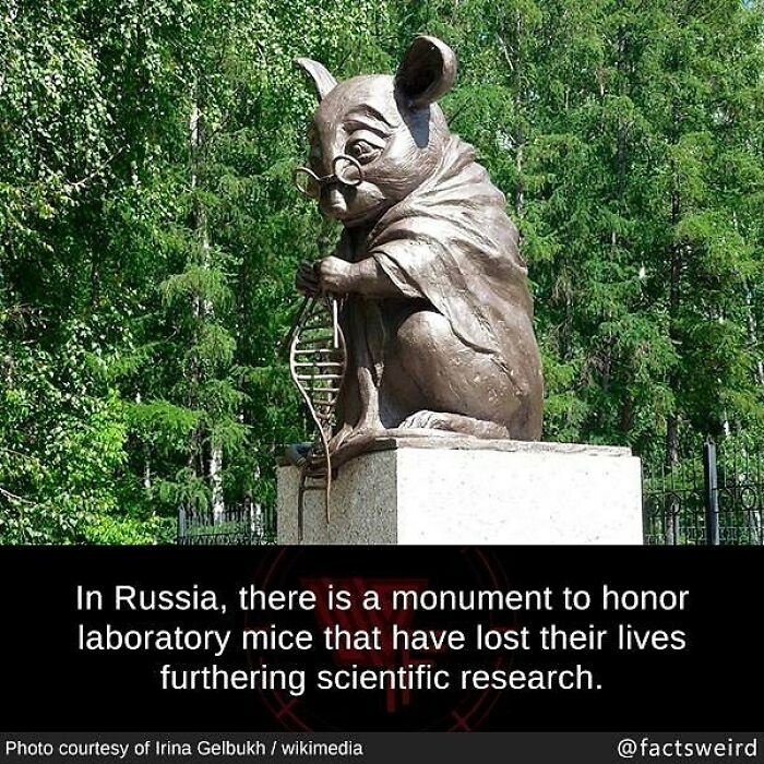 Monument in Russia honoring laboratory mice that died advancing scientific research, representing weird facts about the world.