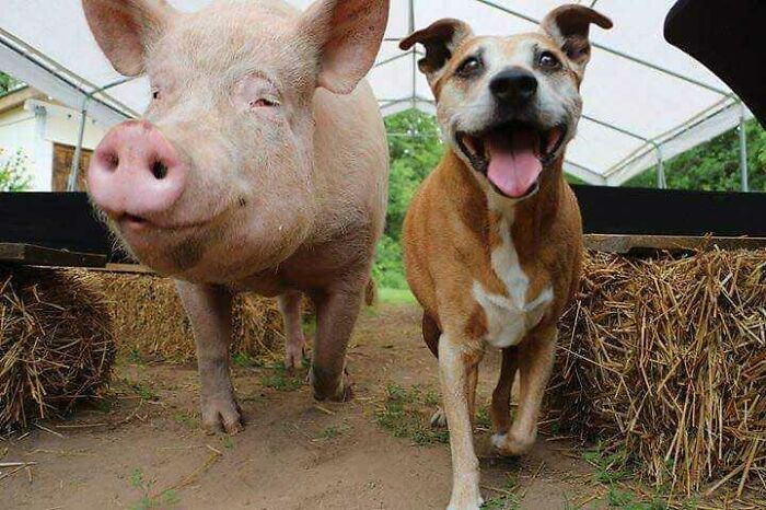 Good Friends Make The Best Memories