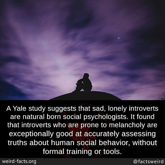 Silhouette of a person sitting alone under a purple sky, illustrating weird facts about human social behavior and introverts.