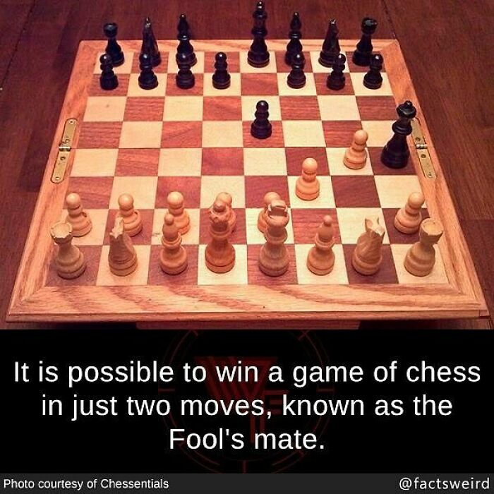 Chessboard setup with a fact about weird facts in the world mentioning the Fool's mate winning in two moves.