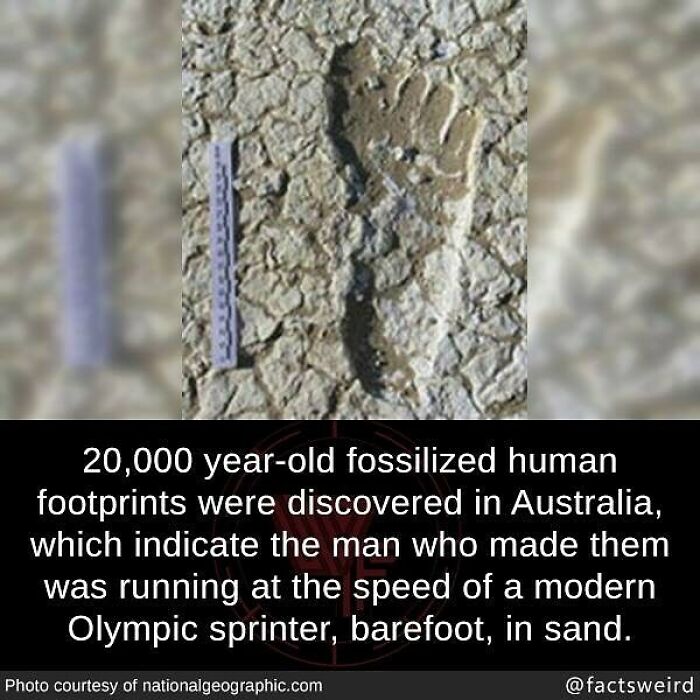 Fossilized human footprints in Australia showing 20,000-year-old weird facts about the world’s past discoveries.