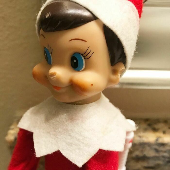 Thought It Would Be Fun To Put The Elf On Top Of The Guinea Pig’s Igloo In Their Cage