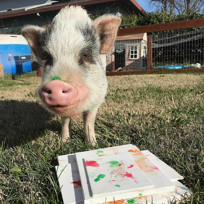 Feeling Proud Of My Work