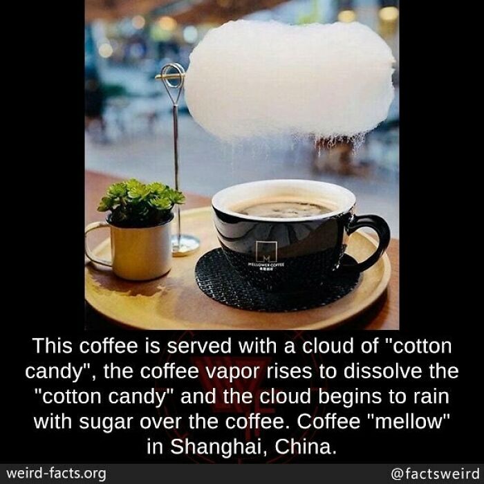 Coffee served with cotton candy cloud that melts and rains sugar, a unique weird fact about the world’s coffee culture in Shanghai.