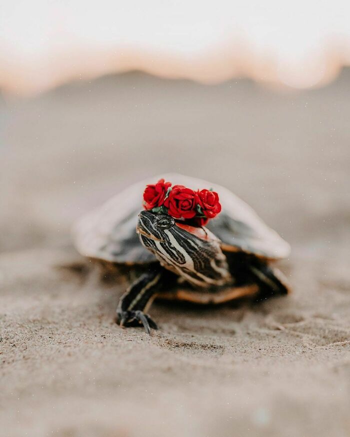 Boys Can Rock A Flower Crown On The Beach Too