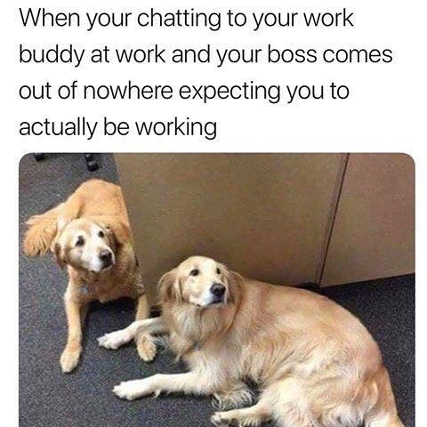 Tag That Work Pal 😂