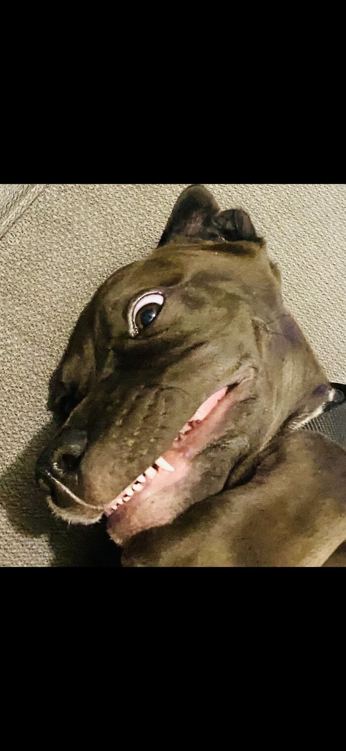 I Have My Eye On You!