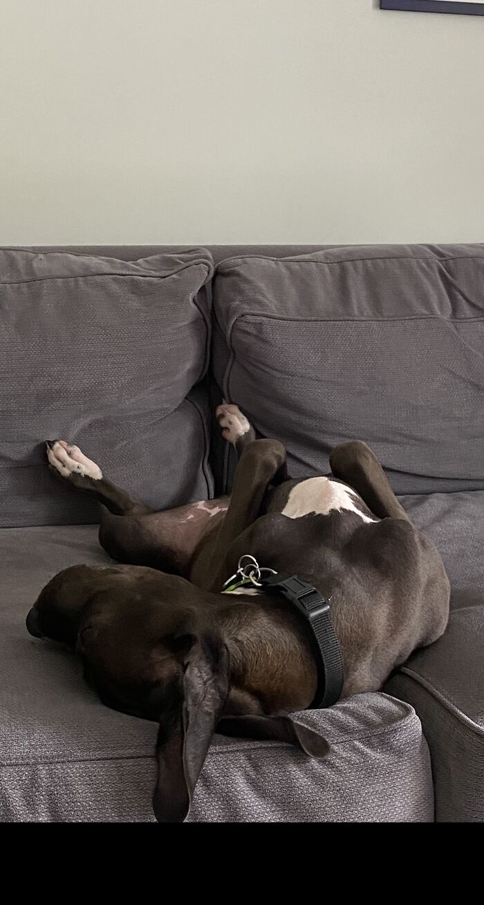 It’s Been A Long Day!