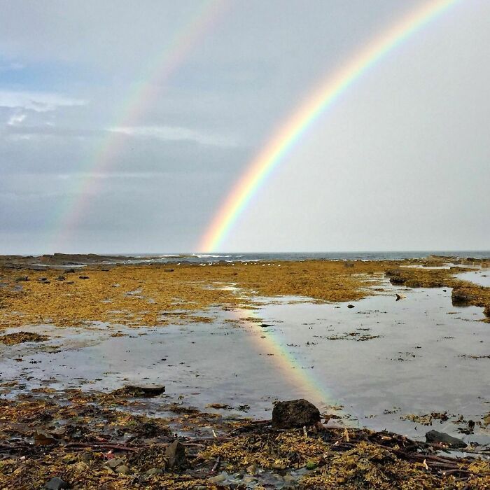 Sometimes It’s Worth Getting Wet