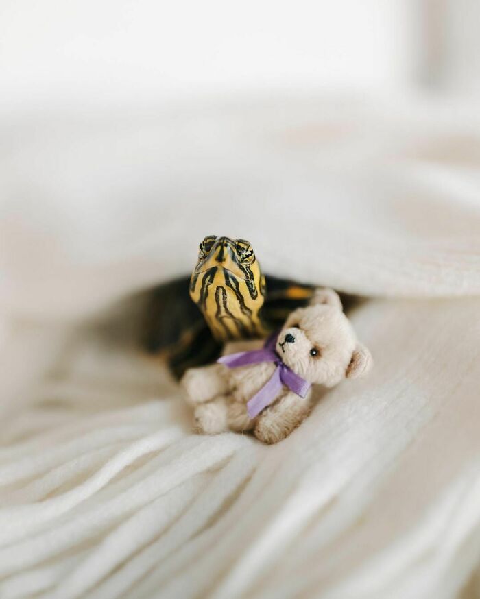 Yes, I Still Sleep With My Teddy Bear. Don’t Judge Me