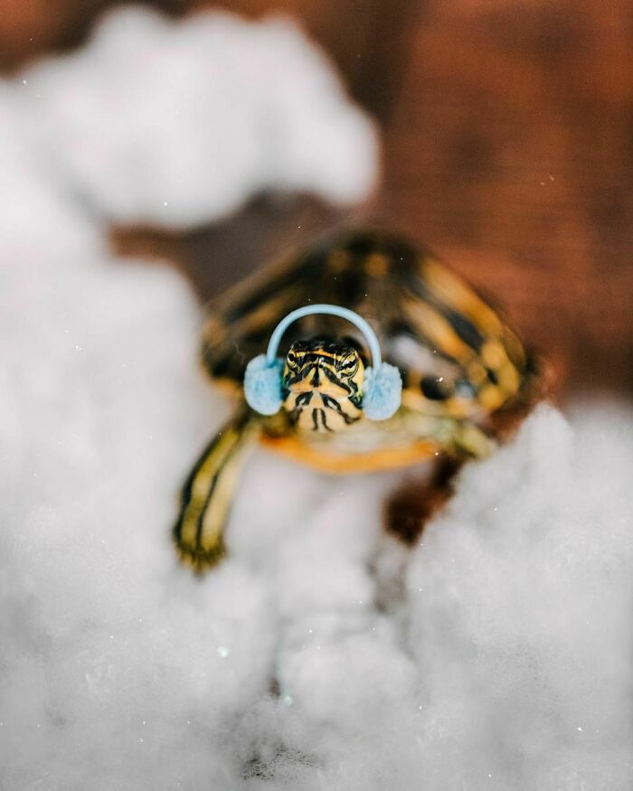 Baby It's Cold Outside