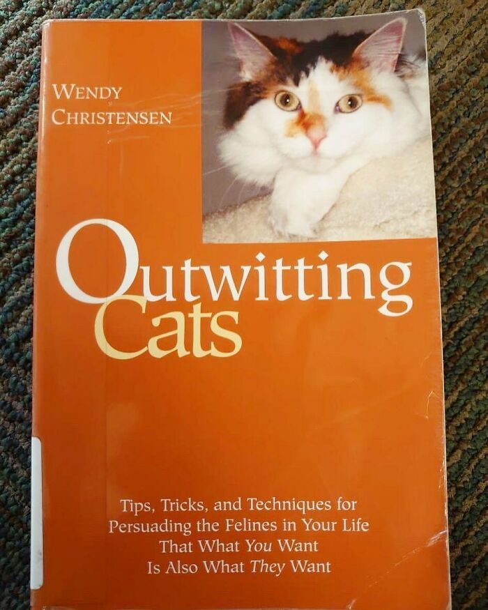 This Was Our First Post Ever And It’s Still Our Favorite ! As Found By @andypaul