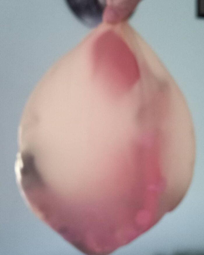 Elf Was Hiding In A Balloon. Which Deflated Over Night And Now Looks Like He Is Waiting To Be Born. The Questions From Mister 8 This Morning Are... Colourful