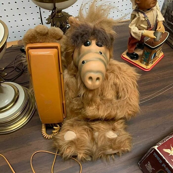 This Instagram Account Is Dedicated To The 'Luckiest' Thrift Store Finds (50 New Pics)