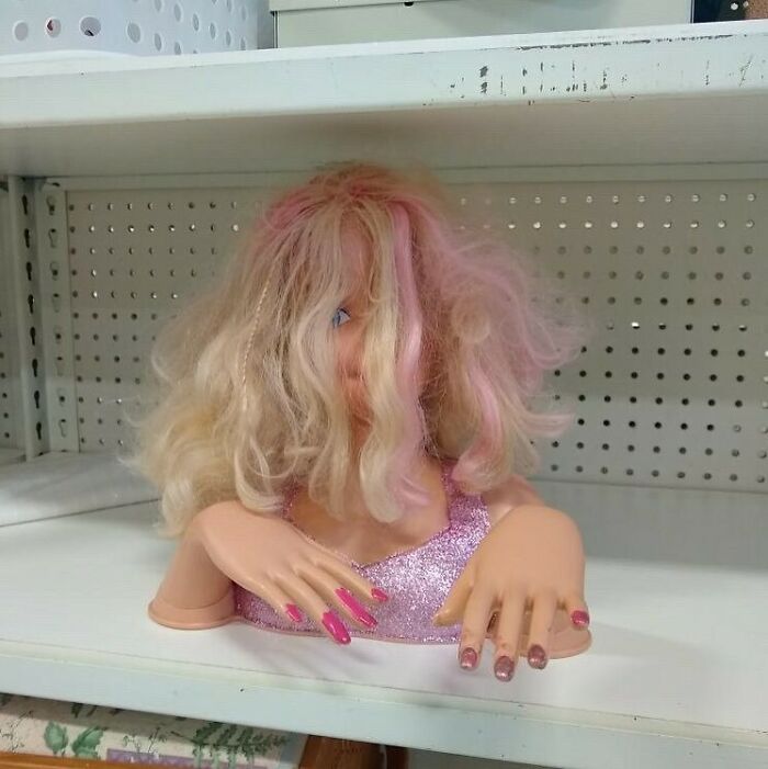 Part Of Which Discontinued Barbie Series ? As Found By @krismos65