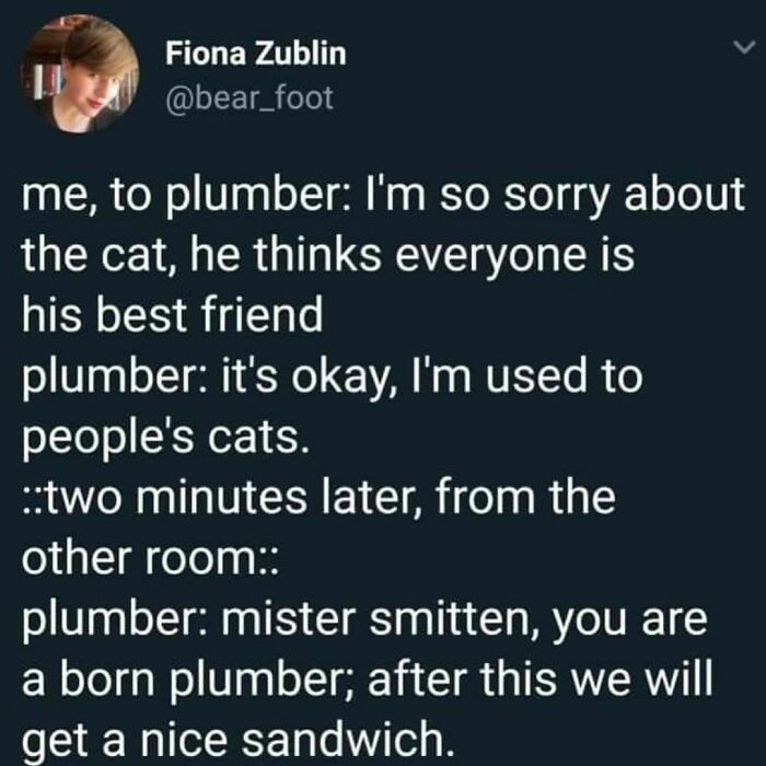 Wholesome-Meets-The-Internet