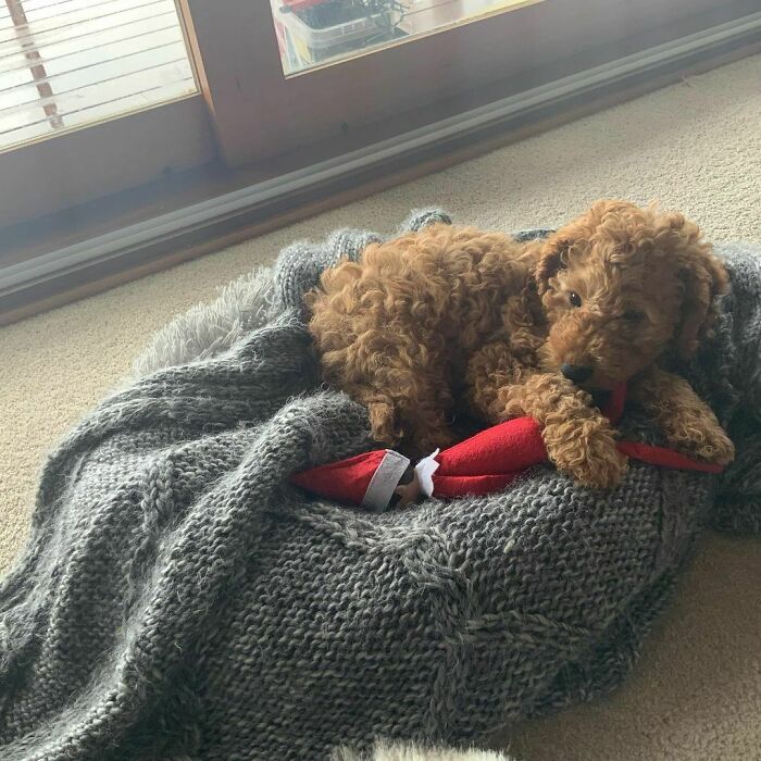 I Don’t Think Wally Is That Interested In Sharing