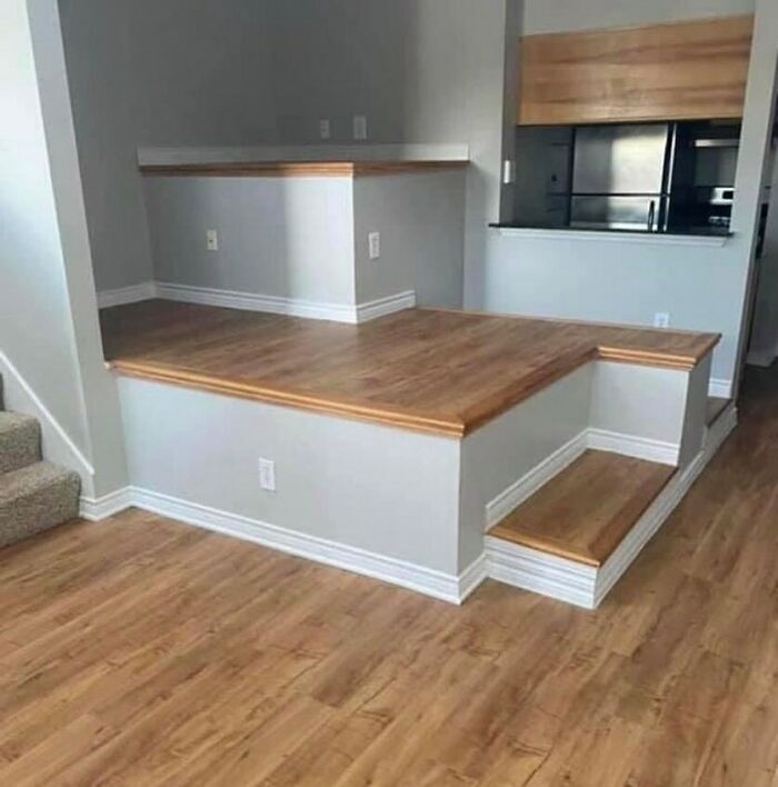 Is This For A Cat? What Is This For?