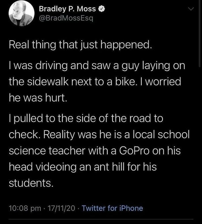 Tweet describing a wholesome moment of a teacher filming an ant hill shared on wholesome internet pictures.