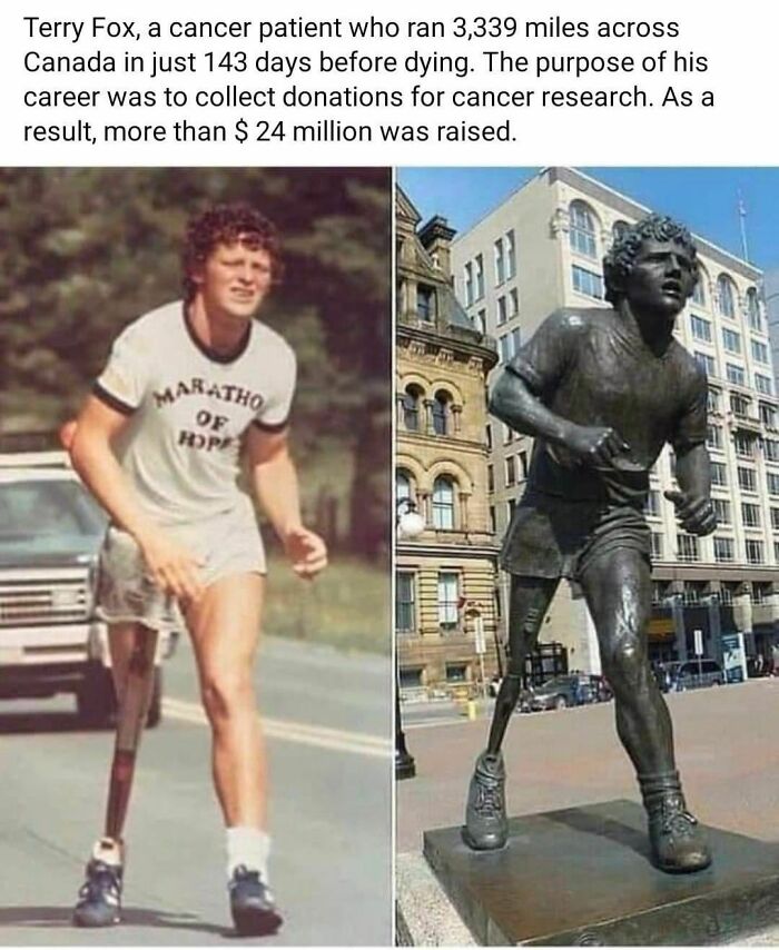 Wholesome-Meets-The-Internet