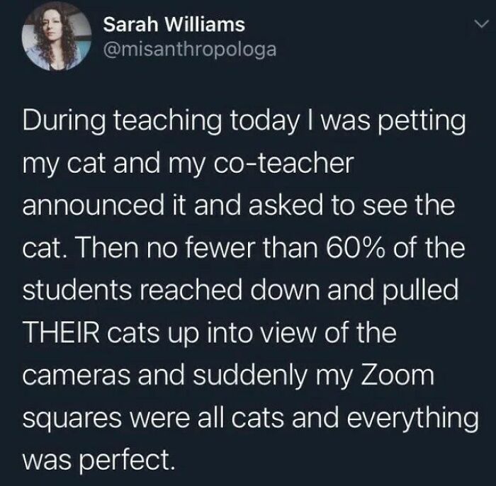 Screenshot of a wholesome tweet describing a Zoom class filled with students showing their cats, creating a heartwarming moment.