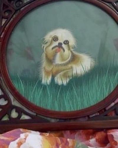 This Wa Our First Post Ever And It’s Still Our Favorite! As Found By @haliebg