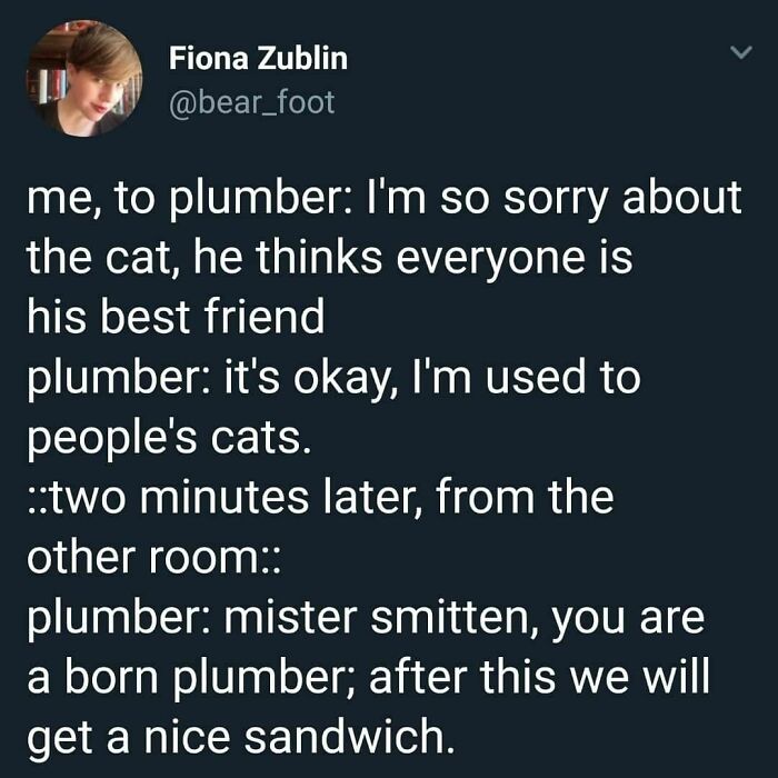 Screenshot of a wholesome internet post showing a plumber bonding with a friendly cat in a heartwarming moment online.