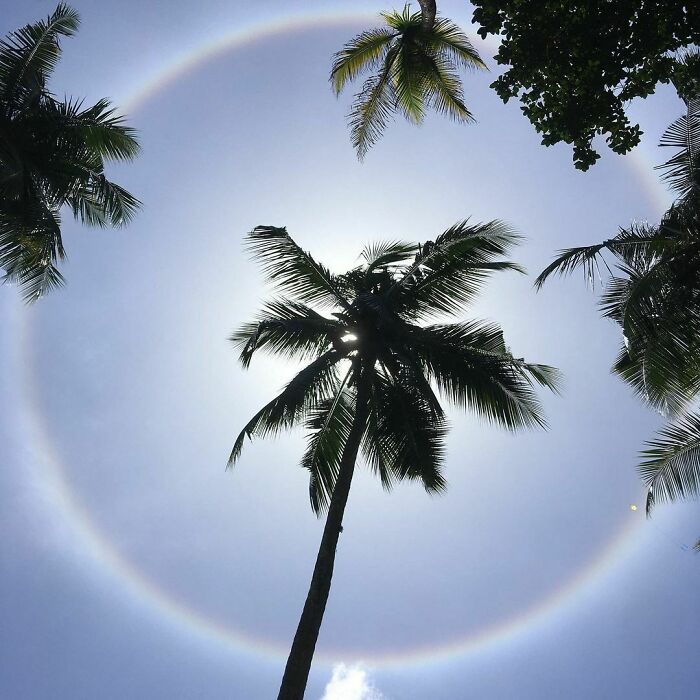 A Rainbow Encircling The Sun At Shikra Cinnamon