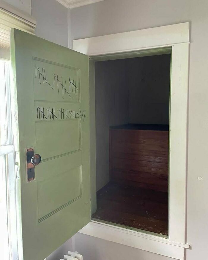 Spotted At A Showing