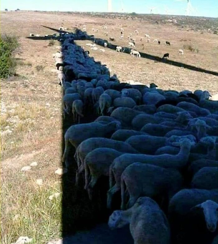 50 ‘Humans Of Capitalism’ Pics That Might Make You Laugh And Cry At The Same Time