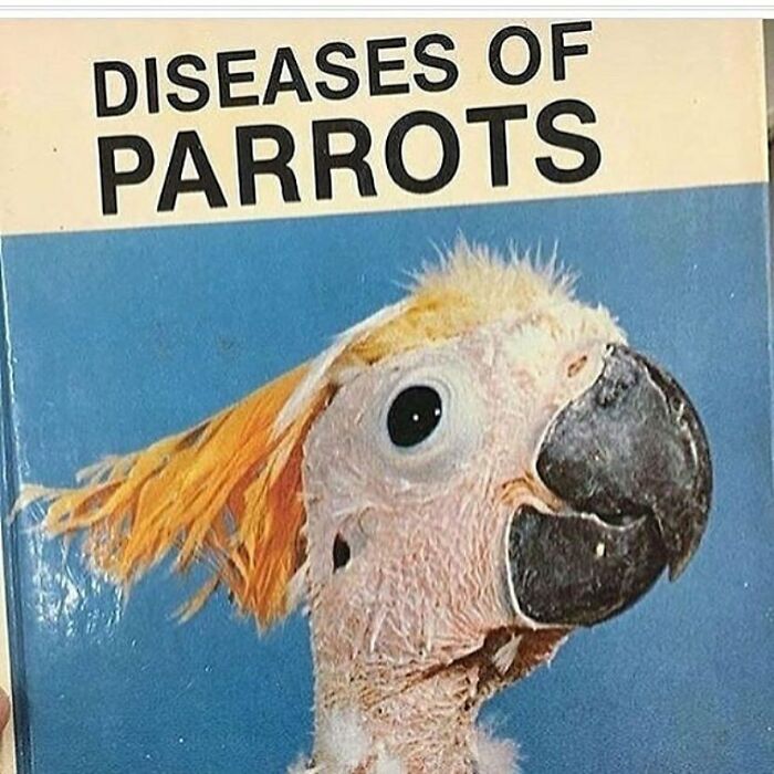 Some People Don’t Like The New Format. Cool. Just Unfollow. But, The Weird Thing I Can’t Figure Out Is Why People Need To Inform Everyone Of Their Dissatisfaction. It’s Like Some Weird Social Disorder. Do You Go To The Grocery Store And Announce Why You No Longer Buy A Certain Type Of Chip? “Hey Fellow Shoppers, The Cup Shape To These Fritos Isn’t As Deep As In The Tostitos, So I Will No Longer Purchase Them. And I Also Must Inform You That If I Eat Too Many I Get A Little Constipated.” Thriftstoreart Isn’t Selling Anything. We Do It Because The Comments Are Funny And Entertaining. The New Comments Detailing The Disappointment One Feels When Seeing A Face Along With The Art, They Are Entertaining As Well. But I Don’t Know Why Someone Wouldn’t Just Shrug, Mouth The Words “God This Account Sucks Now” And Hit The Unfollow Button. What Am I Missing?