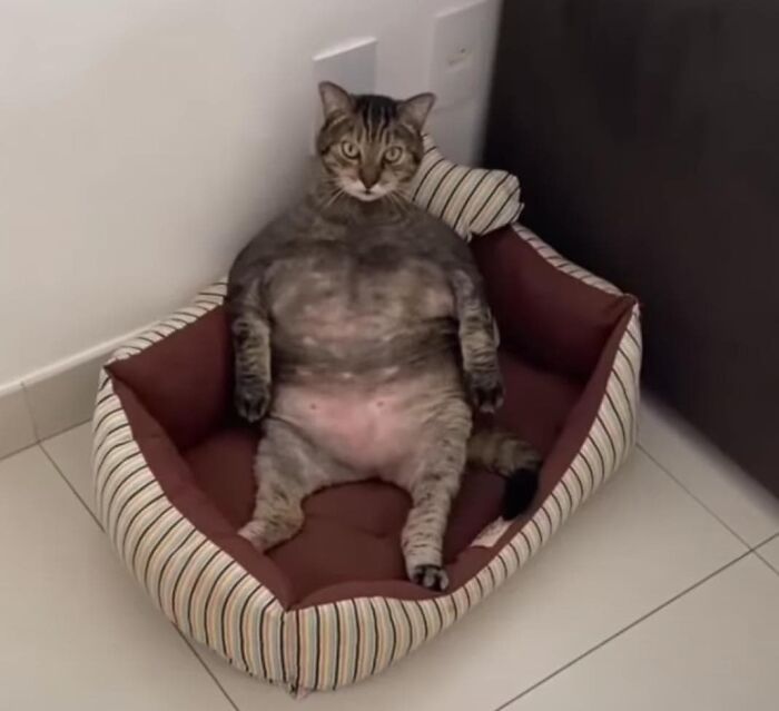 What Are You Staring At?