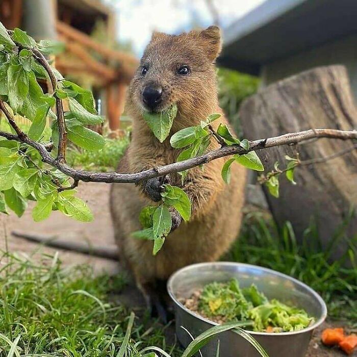 Just Thinking About Other Dishes While Eating Mine