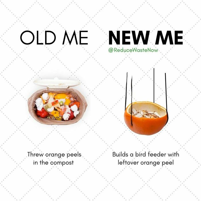 Follow @reducewastenow For Easy, Actionable Ways You Can Help The Environment!
would You Try This? 🤔
tag Someone Who’d Find This Interesting!
how To Make An Orange Peel Bird Feeder 🍊🦜
1. Slice Your Orange In Half & Remove The Fruit (Don’t Forget To Eat It!)
2. Cut Four Pieces Of Yarn, Each 10 Inches Long
3. Poke Four Holes Through The Orange Peel (As Pictured). Make Sure The Holes Are At Least ⅓ Down From The Top Of The Peel To Ensure The Feeder Will Be Sturdy
4. Thread The Yarn Through The Holes & Tie A Knot At The End To Secure
5. Tie The String Together At The Other End
6. Fill With Bird Seed & Hang Up Your New Bird Feeder!
(Pro Tip: You Can Try This Out With Any Citrus Fruit! 🍋)
click The Link In Bio To Shop Sustainable Alternatives To Everyday Products!
#reducewastenow
#foodwaste #zerowaste #sustainability #nofoodwaste #foodie #zerofoodwaste #zerowasteliving #sustainable #food #sustainableliving #savefood #compost #vegan #zerowastefood #circulareconomy #lovefoodhatewaste #earth #bestbefore #recycle #ecofriendly #organic #environment #composting #sustainablefood #plasticfree #plantbased