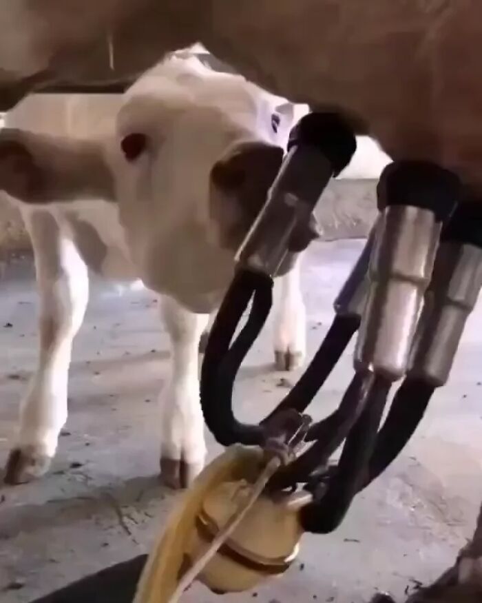 50 ‘Humans Of Capitalism’ Pics That Might Make You Laugh And Cry At The Same Time