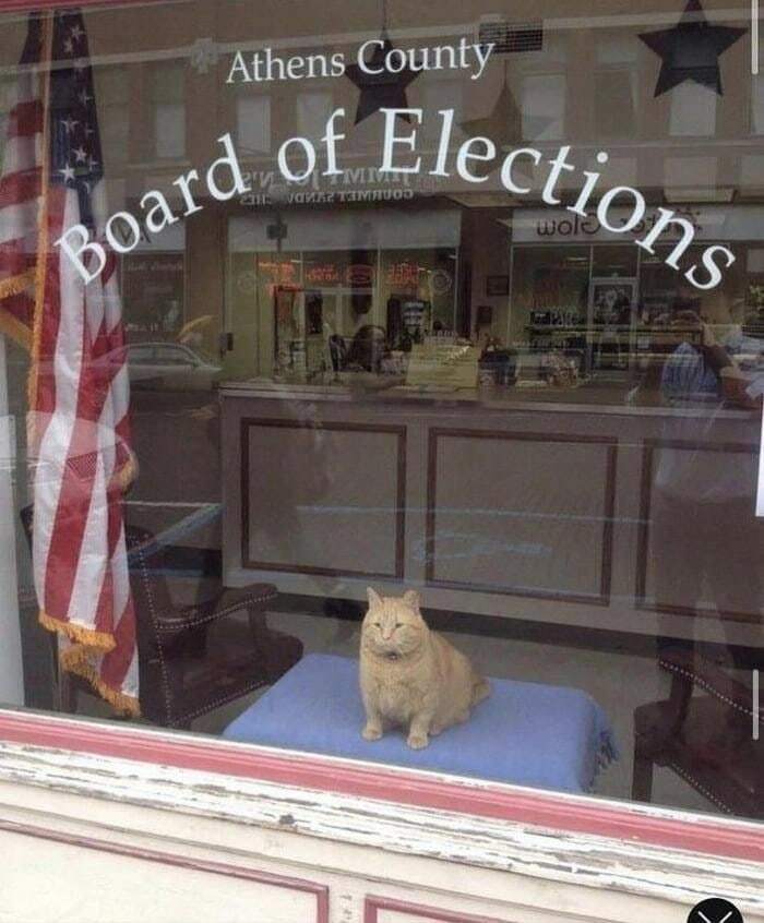He Has My Vote