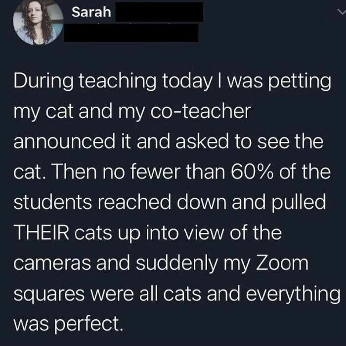 Wholesome-Meets-The-Internet