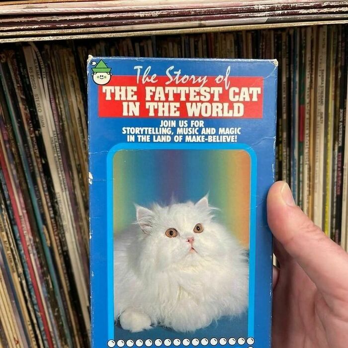 Favorite Scene? As Found By @boy_george_strait