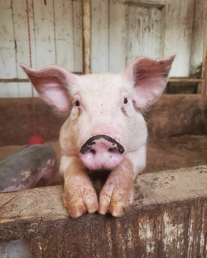 This One Is By Far The Friendliest