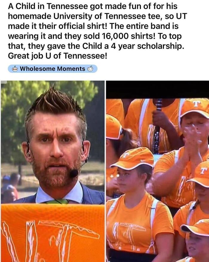 Wholesome-Meets-The-Internet