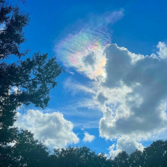 #outsideisthebestside #firerainbow #irisation