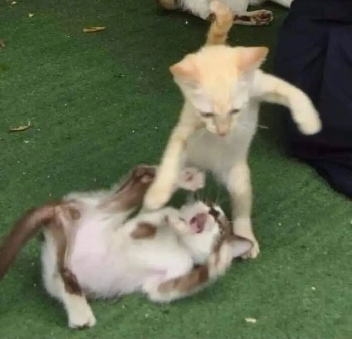 The Weak Should Fear The Strong