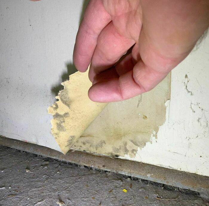 When You Peel Back The Layers… You Find Mold!