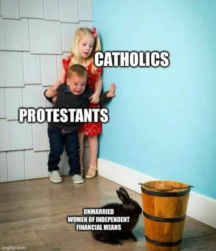Funny history meme showing children labeled Catholics and Protestants, with a rabbit representing unmarried women of independent financial means.