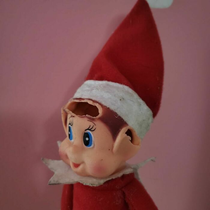 So Clearly The Dog Feels The Same Way About Elf On The Shelf As I Do! He Went To Town With Poor Mr Elf And Then Left It Behind James' Curtains And I Have Spent All Afternoon Trying To Find The Damn Thing