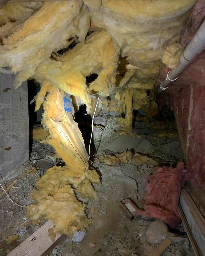 Guess Who Is Going In?