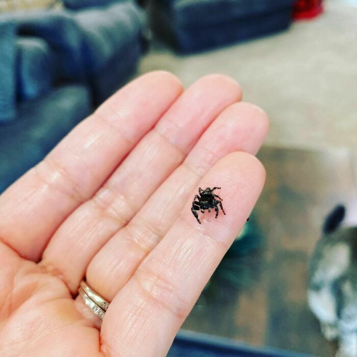 I Had To Save Him From The Cat