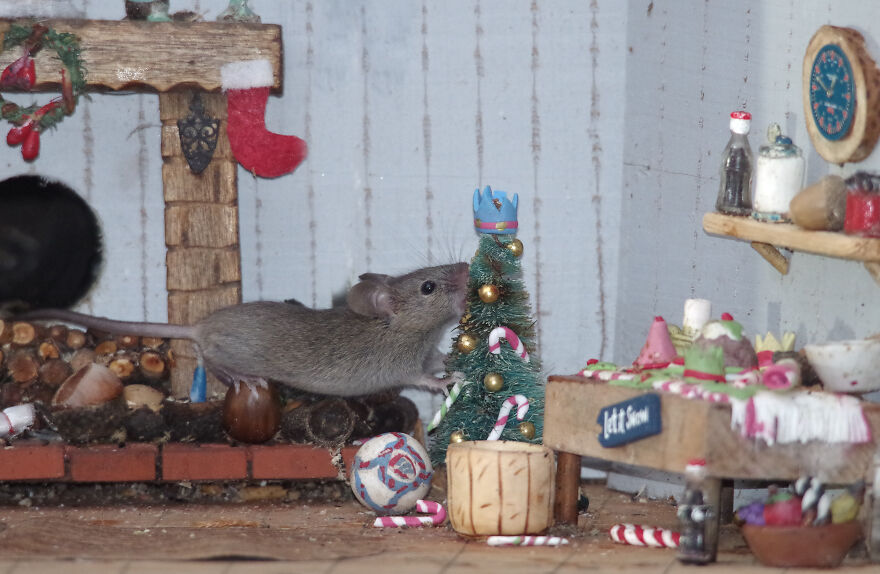 Christmouse Village Christmouse Village
